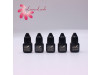 Lady Black Glue Fast Dry for Eyelash Extensions Low Irritation